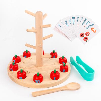 China Flexible Joints Early Educational Mathematics Toys Apple Wood Magnetic Cute Toys for sale