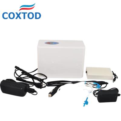 China Oxygenation Mini Oxygen Concentrator 3L Hand Held 2 Hours Oxygen Inhaler Oxygenerator for sale