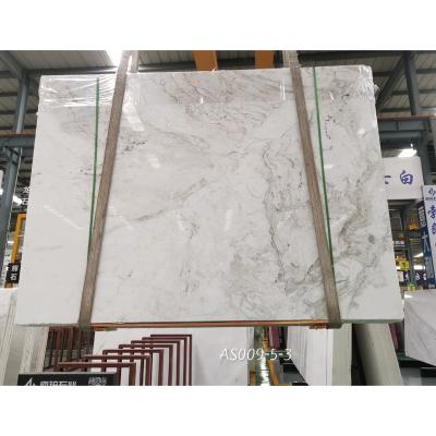 China Modern Natural White Marble Stone 2021 Black And White Striped Marble Slab For Countertop/Wall And Floor/Stairs for sale