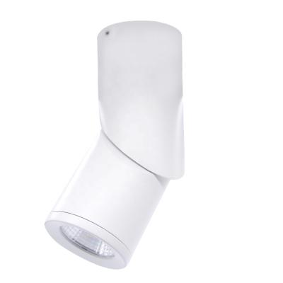 China Rotate Led Indoor Light Ceiling Lights,Rotating Ceiling Lights Led Aluminum Housing 15W Beam Angle 15,24,38 Degree for sale