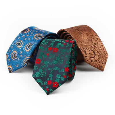 China Polyester Shengzhou Custom Design Casual Paisley Pattern Polyester Tie Neck Tie For Men for sale