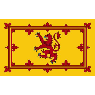 China Amazon Supplier 90x150cm Flag Lion Royal Two Line Curling Scottish Flag for sale