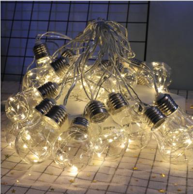 China Wedding Party 10 LEDs Clear Globe Bulbs Garden  Outdoor Fairy Light for sale