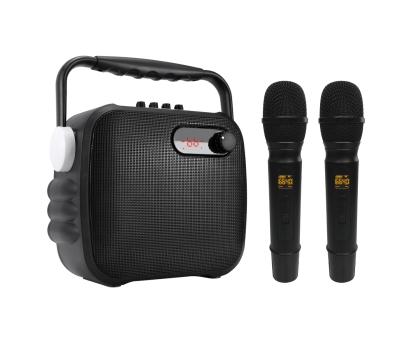 China Portable Recording/TF card/USB port/FM radio/Line In/Bluetooth/Microphone 6000mAh High Capacity Bass Family Stereo Karaoke Speaker with MIC Microphones for sale