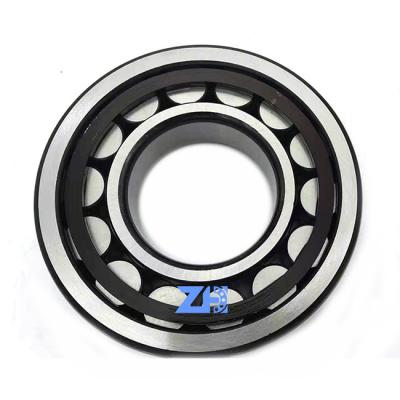 China NU Series Plastic Nylon Cage Cylindrical Roller Bearing NU310ECP NU310 NU310ECP 310ECP for sale