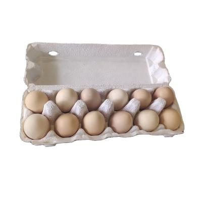 China Recyclable 12 Shape Egg Trays Pulp Molded Pulp Tray Environmental Friendly Holder for sale