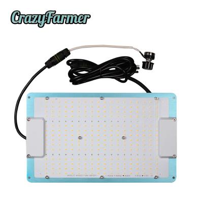 China Seed Starting Anna Lin Crazy Farmer 120W Full Spectrum Led Grow Light LM301H Epistar 660nm Meanwell Driver With Waterproof Cable for sale