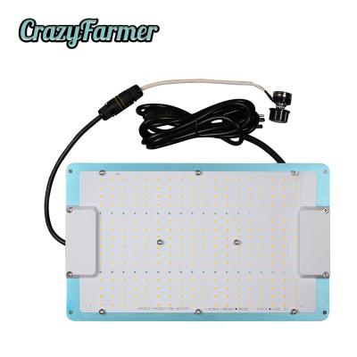 China Seed Starting Crazy Farmer 120W Led Grow Full Spectrum Light Driver 3000k 3500k Samsung LM301H Epistar 660nm Meanwell For Hydraulic Supply for sale