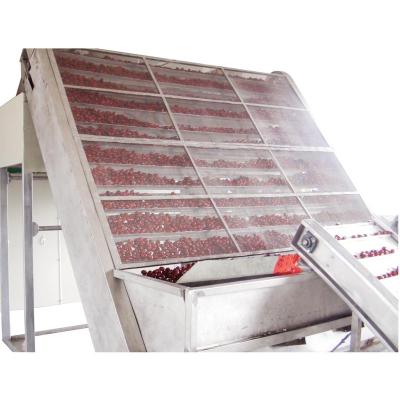 China Medicine Processing All In One Dryer Chili Dryer Specialization Vegetable Drying Machinery Agricultural Equipment for sale