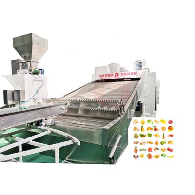 China High Efficiency Low Cost Fruit Potato Machine Onion Chips Sale Vegetables Machinery Food Dryer Dryer Machine for sale