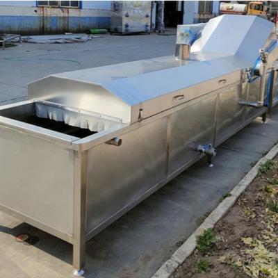 China Potato Chips Fruit Blanching Machine Leafy Vegetable Plant Food Processing Plant for sale