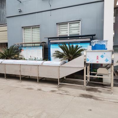 China Factory Automatic Continuous Peanut and Peanut Blanching Machine for sale