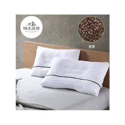 China Factory Direct Wholesale Anti Dust Mite Comfortable Buckwheat Pillow Buckwheat Hulls Travel Pillowcase Health Care Pillow Bulk Sale Bolster for sale