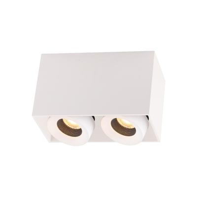 China Exterior Mounted Rectangular Adjustable Indoor Desk IP20 LED Ceiling Mounted Light for sale