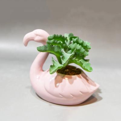 China Cartoon Animal Design Mini Ceramic Flamingo Planter Flower Pot Plant Pot for sale