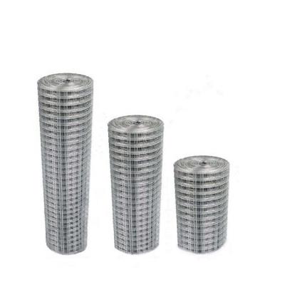 China Plain Weave 1cm Galvanized Square Welded Wire Mesh Roll For Birdcage for sale