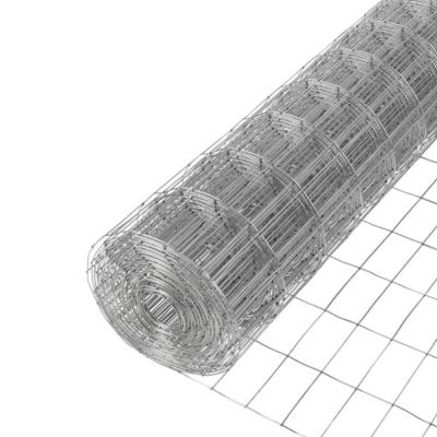 China Commercial Plain Weave Rabbit Farm Cage Welded Wire Mesh 20mm x 20mm for sale