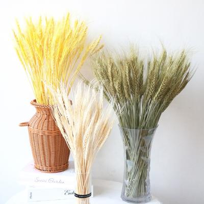 China Eco-Friendly Dried Natural Bleached White Wheat Pile Bundle By Straw Bunches Bouquet Sheaves Flowers Wheat Stalks for sale