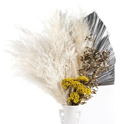 China Home Decoration Beige Pampas Grass Real Natural Dry Pampas Grass Flower Decor Pampas Grass Large Fluffy Large Bouquet for sale