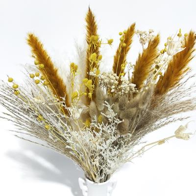 China Home decoration hot sale dried pampas grass bouquet for decorative flowers wedding home decoration for sale