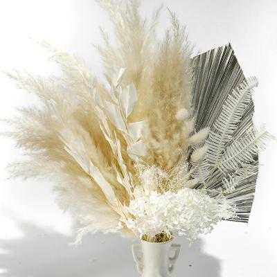 China Home Decoration Natural Perennial Decorative Plants Small Pampas Grass and Reed Flowers Pampas Grass Dry Set for Home Decor and Wedding for sale