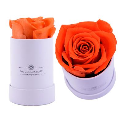 China UKIQUEEN Romantic Gorgeous Lasting Eternal Roses Preserved Forever Rose In Gift Box Preserved Single Flower Preserved Box for sale