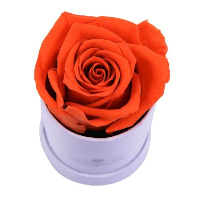 China UKIQUEEN Romantic Gorgeous Wholesale Long Lasting Eternal Single Roses Preserved Forever Flower Rose in Gift Box for sale