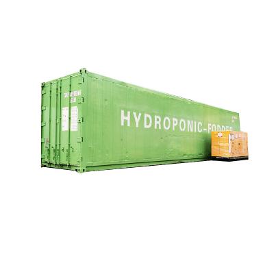 China High Output Camels Cow Hydroponic Fodder Container For Barley Sprouting for sale