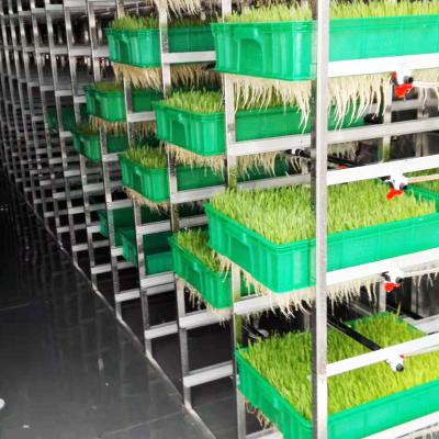 China Daily 5T To 20T Smart Hydroponic Shipping Container For Growing Fodder for sale