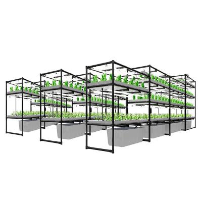 China 60*120cm Cabbage Indoor Vertical Farming System With Water Cycle System for sale