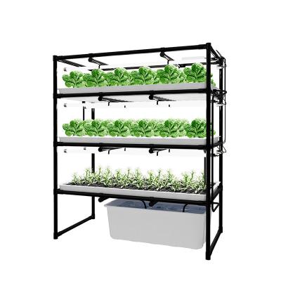 China Custom Hydroponic Grow Rack Indoor Vertical Farms For Leafy Green for sale