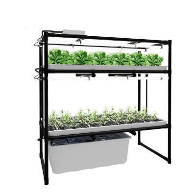 China 600*1200mm Vertical Hydroponic Growing Systems For Salad Greens for sale