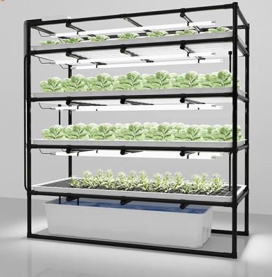 China Customized 45cm Layer Height Hydroponic Lettuce Rack For Growing Crops for sale