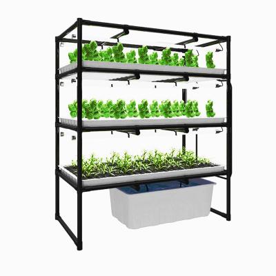 China 3 Layer 600*1500mm Indoor Vertical Farms Hydroponic Growing Racks For Herbs Plants for sale