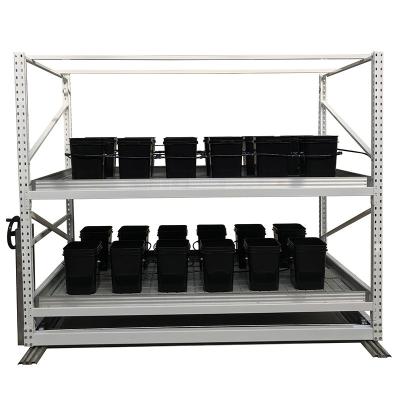 China Two Tier 4*8 Feet Cannabis Led Grow Light Rack Indoor Cultivation Hydro Grow System for sale