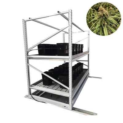 China Complete Vertical Bench Hydroponic Growing Racks 75cm Height for sale