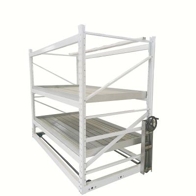 China 2 Tier 4*8FT Vertical Grow Shelf System 75cm Height Indoor Seed Starting Rack for sale