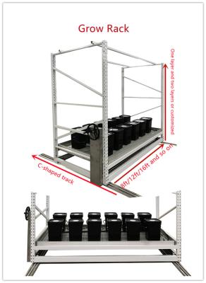 China 4x6ft Steel Hydroponic Vertical Farming Systems For Horticulture for sale