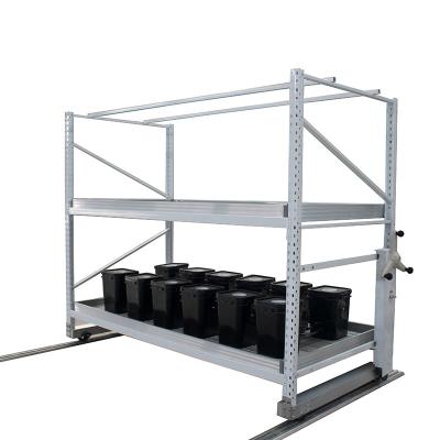 China 90-160cm 4ft*8ft Movable Hydroponic Growing Racks For Leaf Vegetable for sale