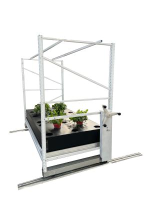 China Customized 5ft*18ft Aeroponics Lettuce Growing Rack For Plants for sale