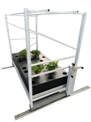 China 4ft*12ft Tomato Cannabis Growing Racks 80 Holes Aeroponic Grow System for sale