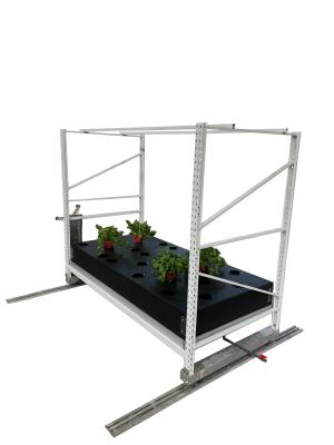 China 2ft*12ft Hydroponic Growing Rack Aeroponic Growing System With Cloner Bucket for sale