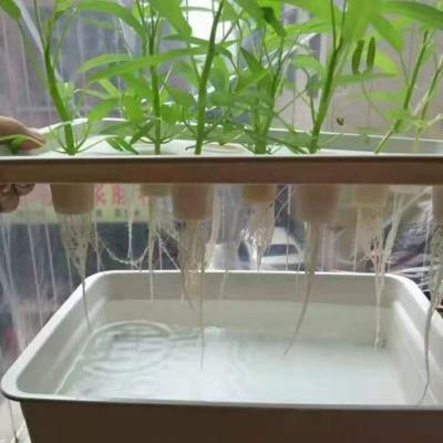 China Customized Hydroponic Deep Water Culture System For Medical Plants for sale