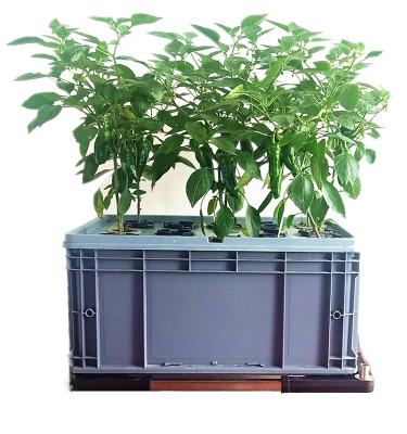 China Leafy Greens Growing Cloner Bucket Cannabis Aeroponic Grow System for sale