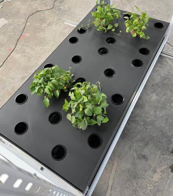 China 5ft*15ft Cannabis Aeroponics Growing System 40pcs Holes For Vertical Rack for sale