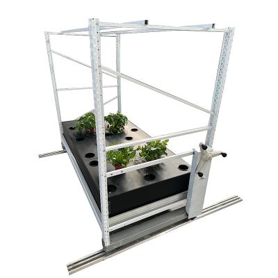 China Flowering Cloning Vertical Farming System Multi Tier Indoor Growing Rack for sale