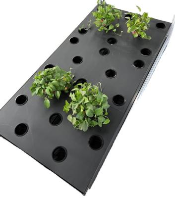 China PP Aeroponic Grow System Height 15cm Hydroponic Cloning Box for sale