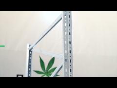 4x4ft Vertical Hydroponic Growing Racks Medicinal Herbs Plant Rack With Grow Lights