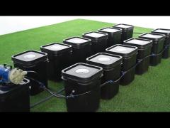 Commercial 12 Bucket Aeroponic Grow System 13cm To 30cm Height