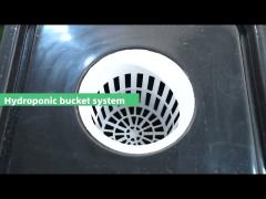 Agricultural Lettuce Tomato Dutch Bucket Indoor Aeroponic Grow System